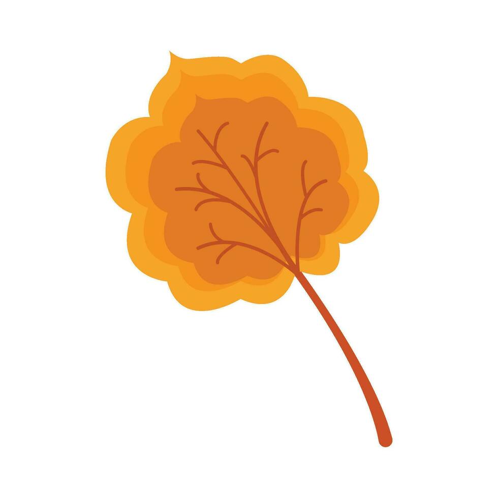 maple autumn leaf illustration vector