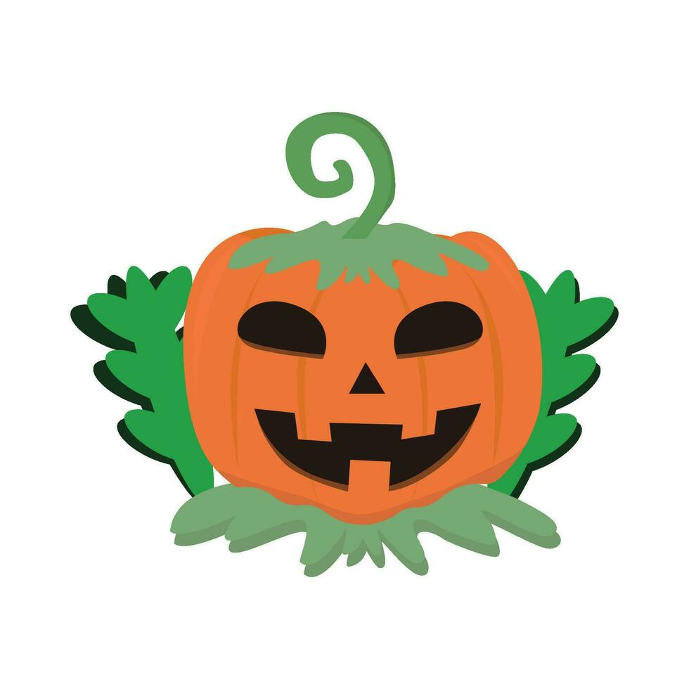 pumpkin halloween illustration vector