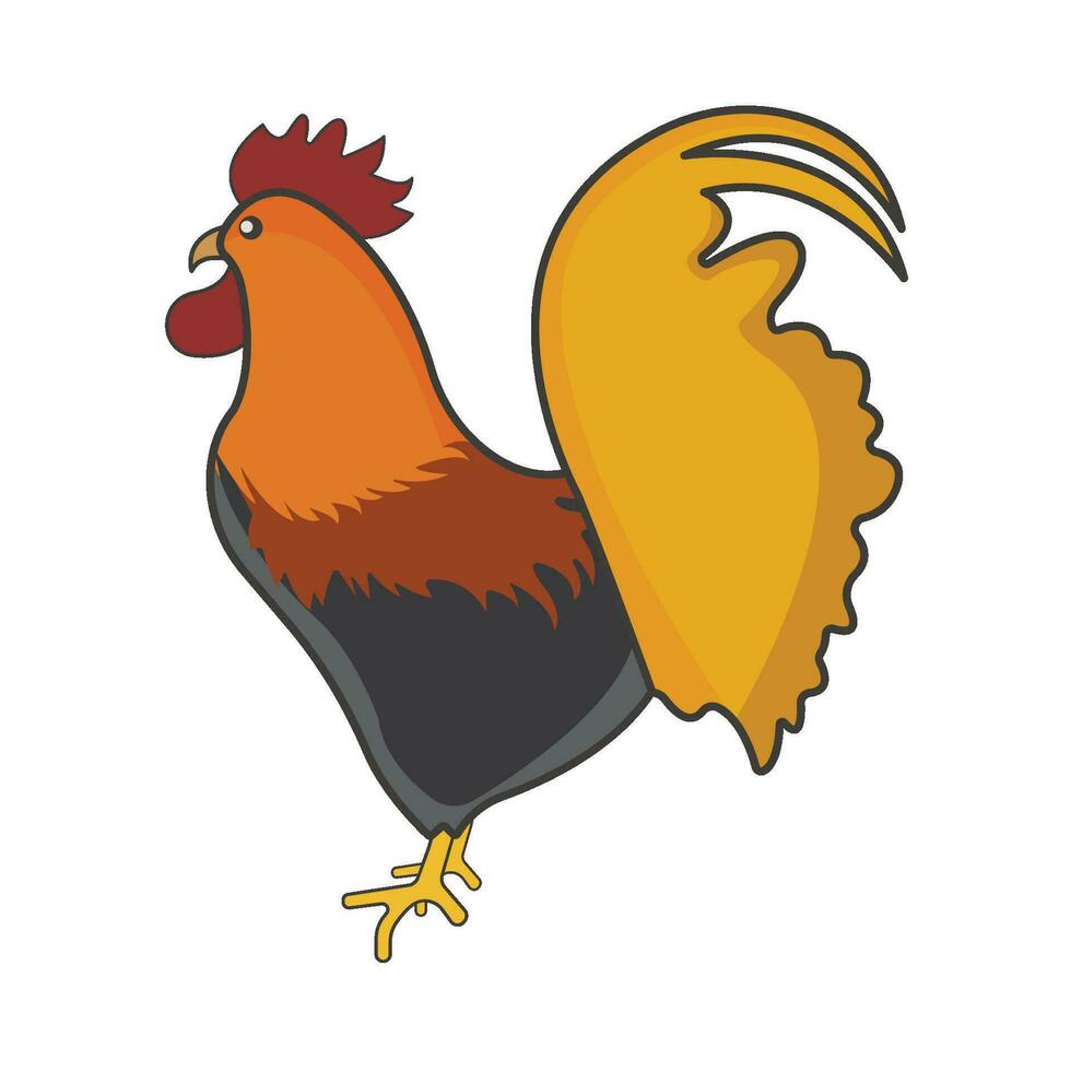 rooster chicken illustration vector