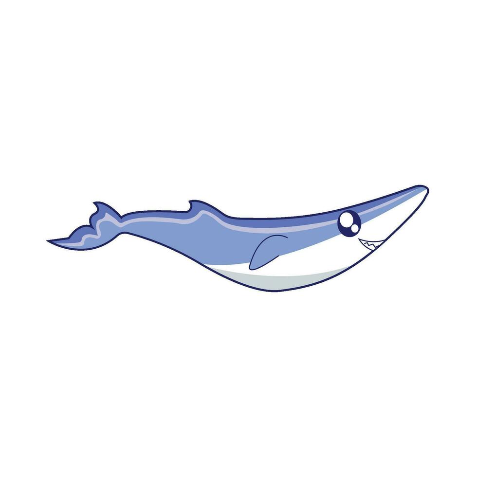 whale fish illustration vector
