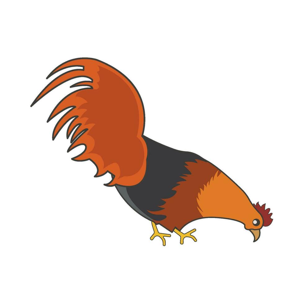 rooster chicken illustration vector