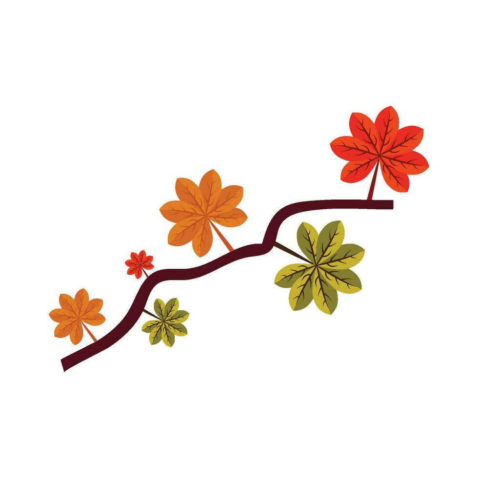 maple autumn decoration vector