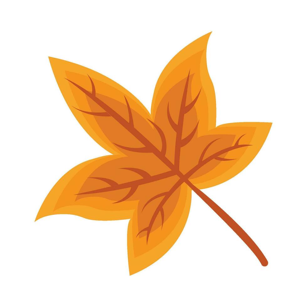 maple autumn leaf illustration vector