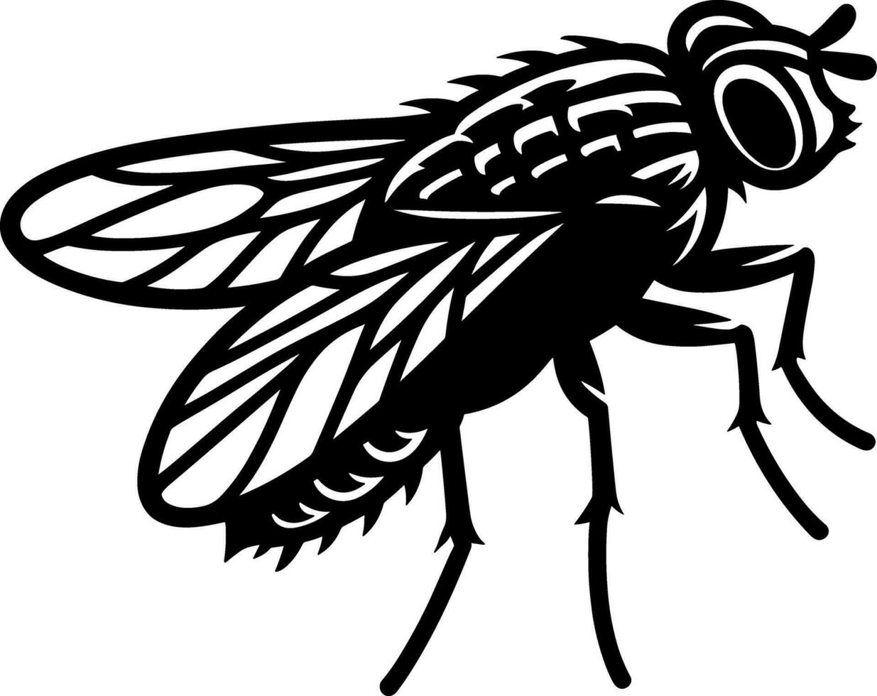 mosca insecto error vector