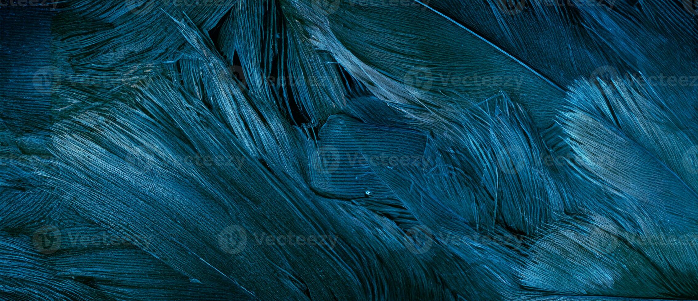 blue hawk feathers with visible detail. background or texture photo