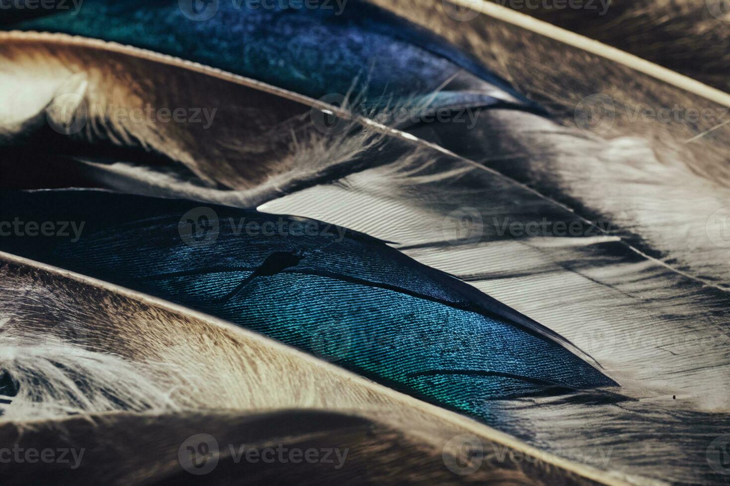 Close up Beautiful Colored duck Bird feather pattern background for design texture. Macro photography view. photo