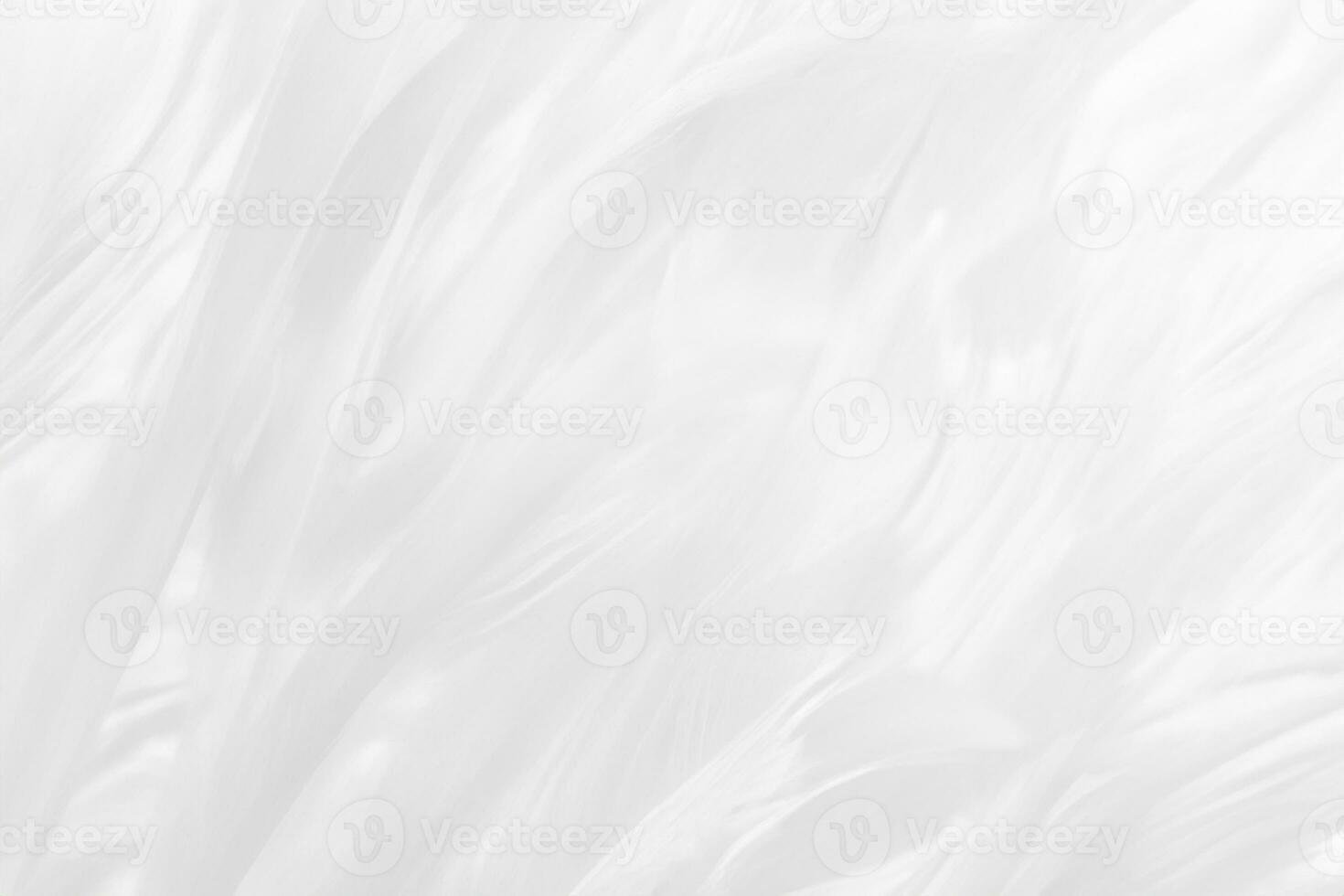 Beautiful white feather wool pattern texture background photo