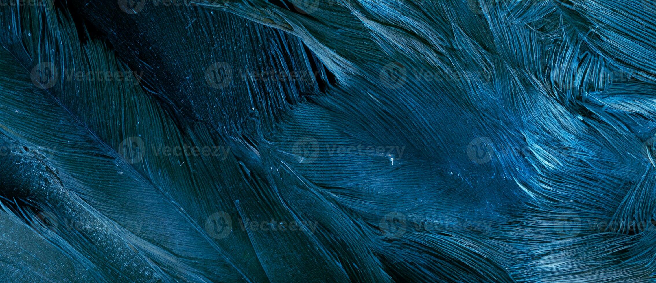blue hawk feathers with visible detail. background or texture photo