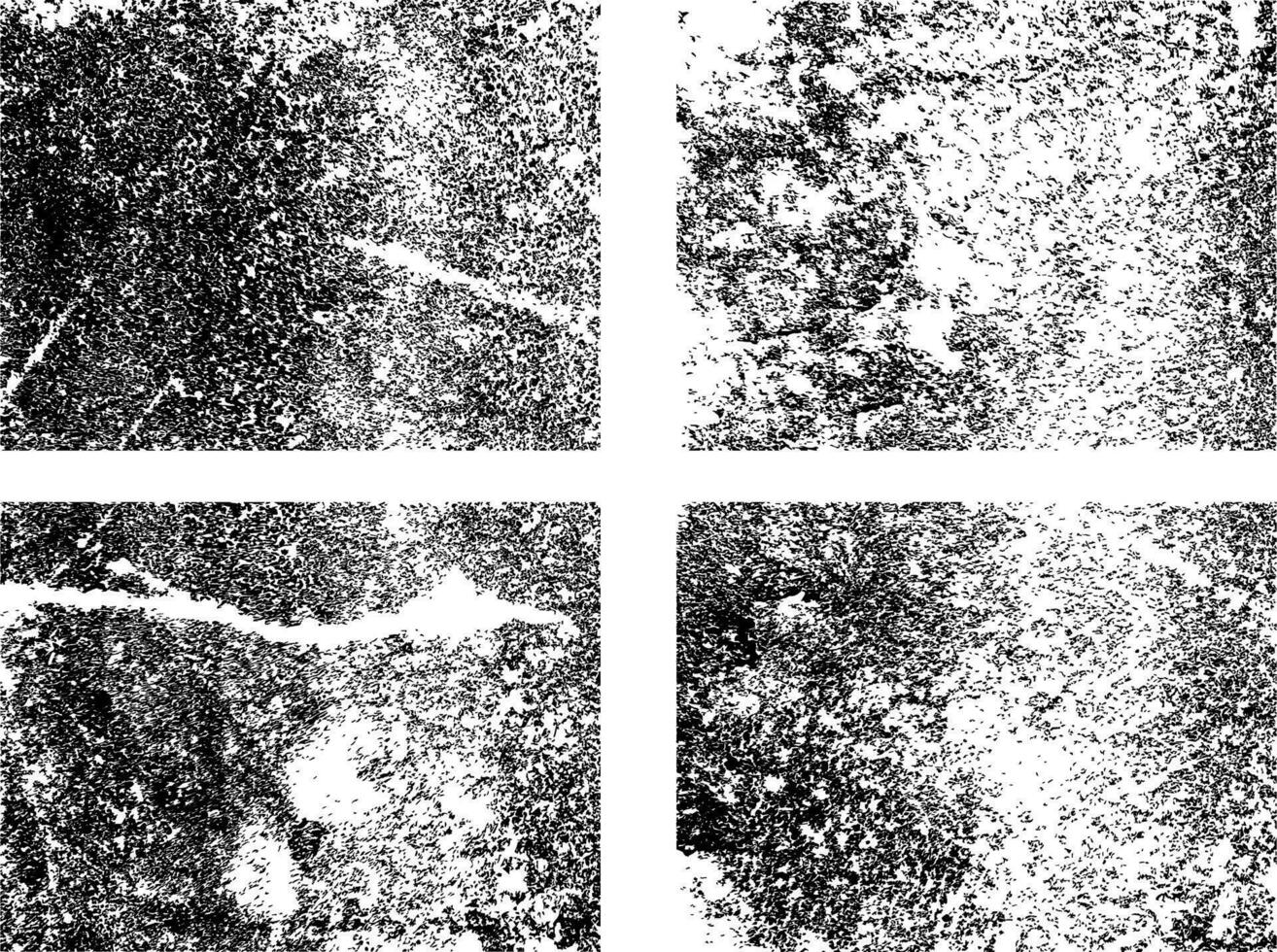 Dirty Grunge Textures Vector