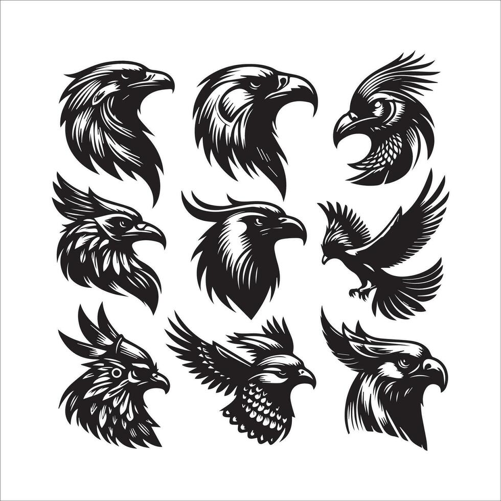 Predator Bird head set vector illustration in black and white colors isolated on grey background