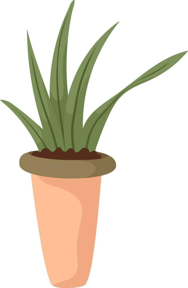 Hand draw indoors plant isolated on white.Sansevieria, aloe. Green and peach fuzz colors. Houseplant in doodle style. Vector illustration for postcards, wrapping, banners, package and patterns.