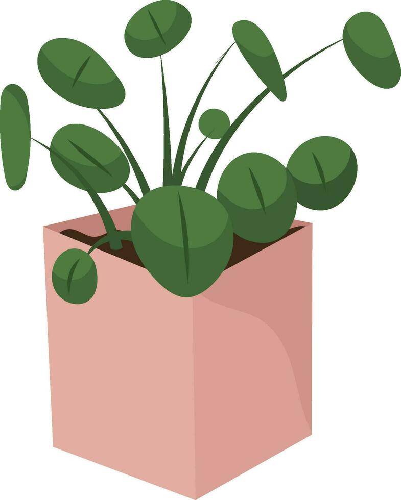 Hand draw indoors plant isolated on white. Pink, green colors. Ufopflanze in doodle style.Houseplant vector illustration for postcards, wrapping, banners, package and patterns.