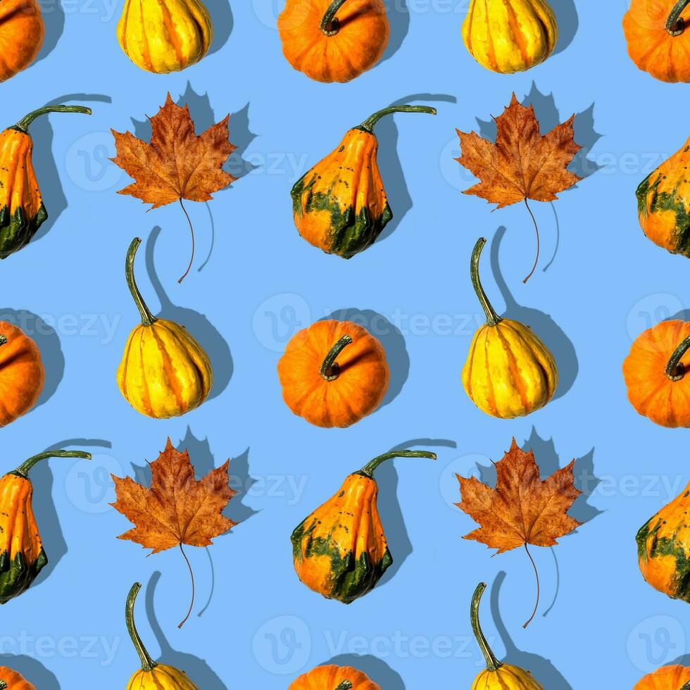 seamless pattern different pumpkins on a blue background photo