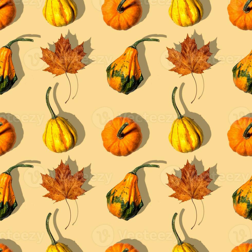 seamless pattern different pumpkins on a orange background photo