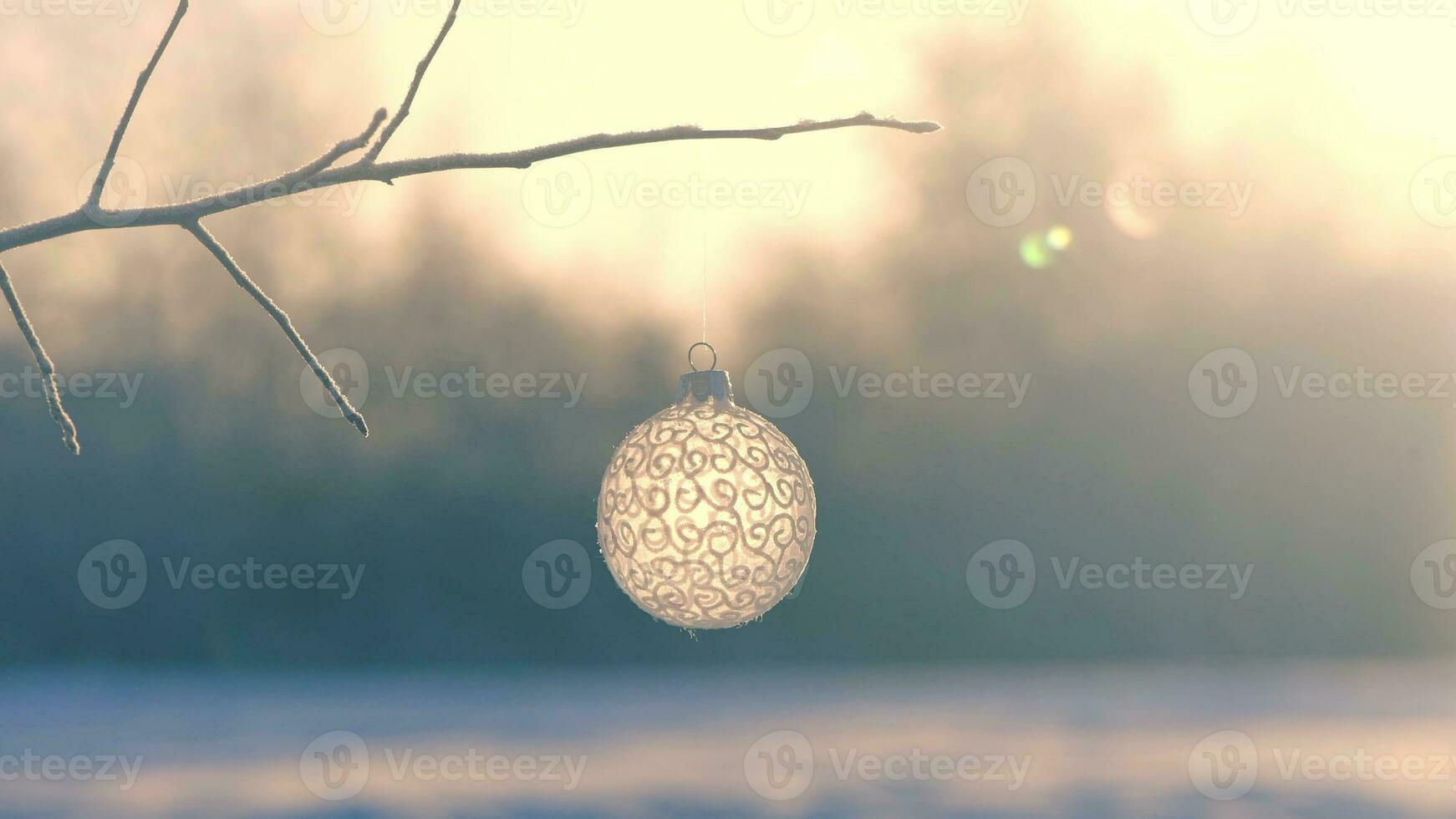 Christmas ball on tree outdoors, creative photo, new year, christmas photo