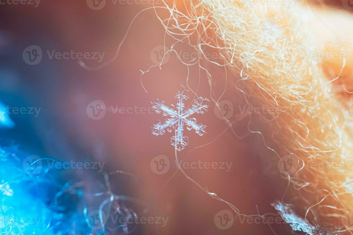 Macro photography. Beautiful snowflakes on the bristles in winter photo