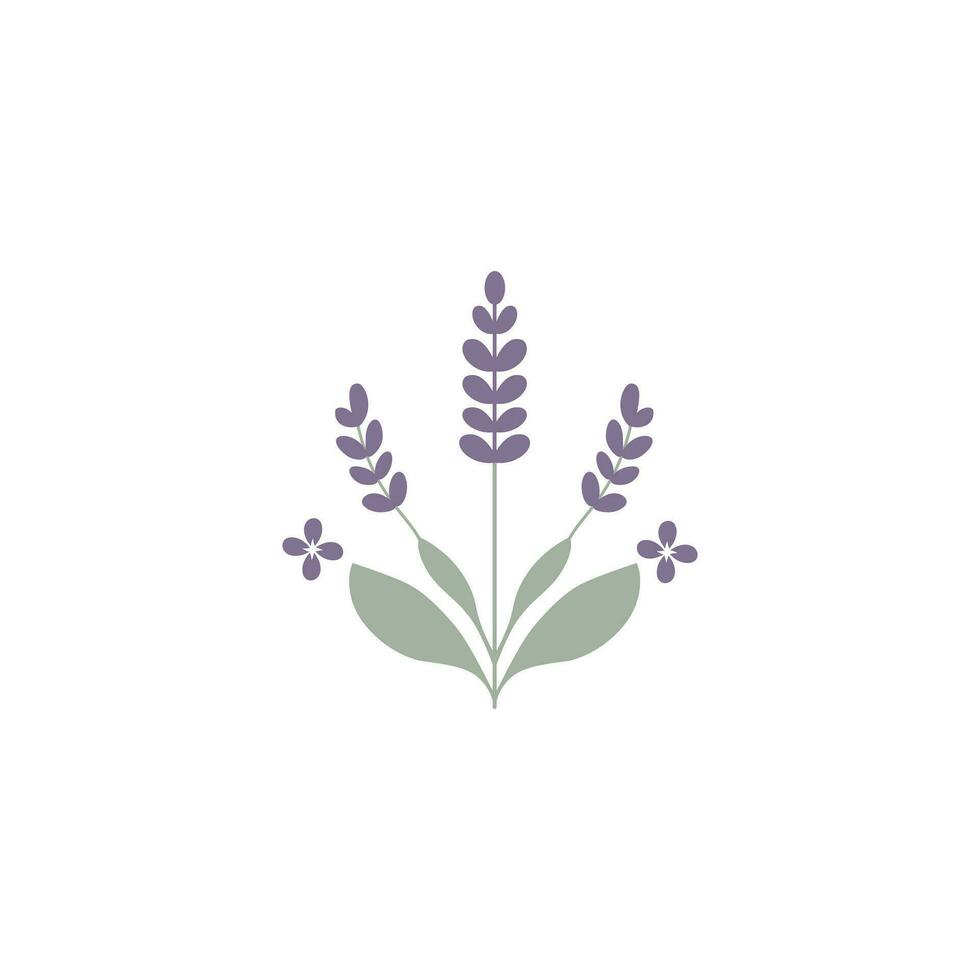 elegante lavanda puntilla ilustración conjunto en contra un prístino blanco antecedentes para un tranquilo visual experiencia vector