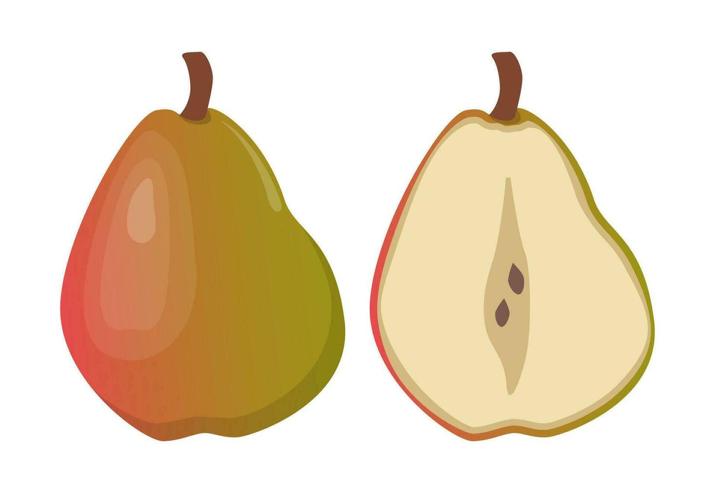 Pera todo y un medio de fruta. Pera rebanada. vector ilustración.