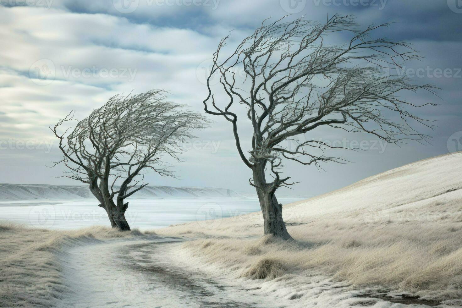 AI generated Winter Windswept Trees - Generative AI photo