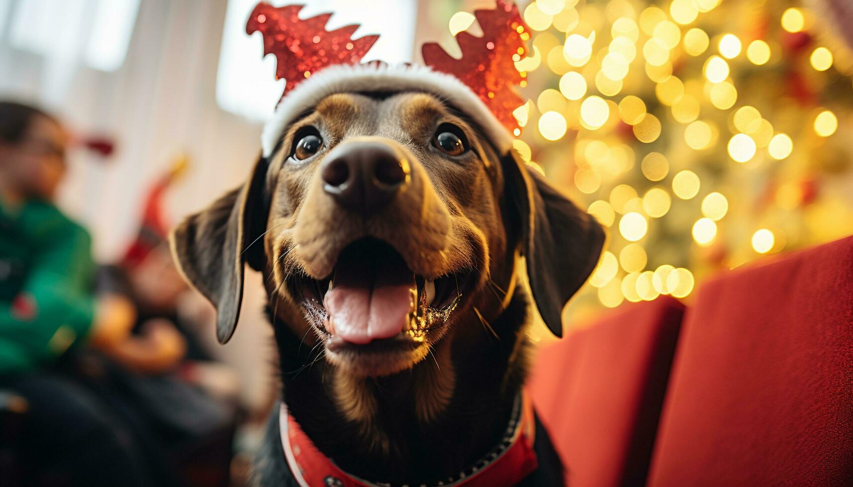 AI generated Cute dog sitting, looking at camera, Christmas celebration generated by AI photo