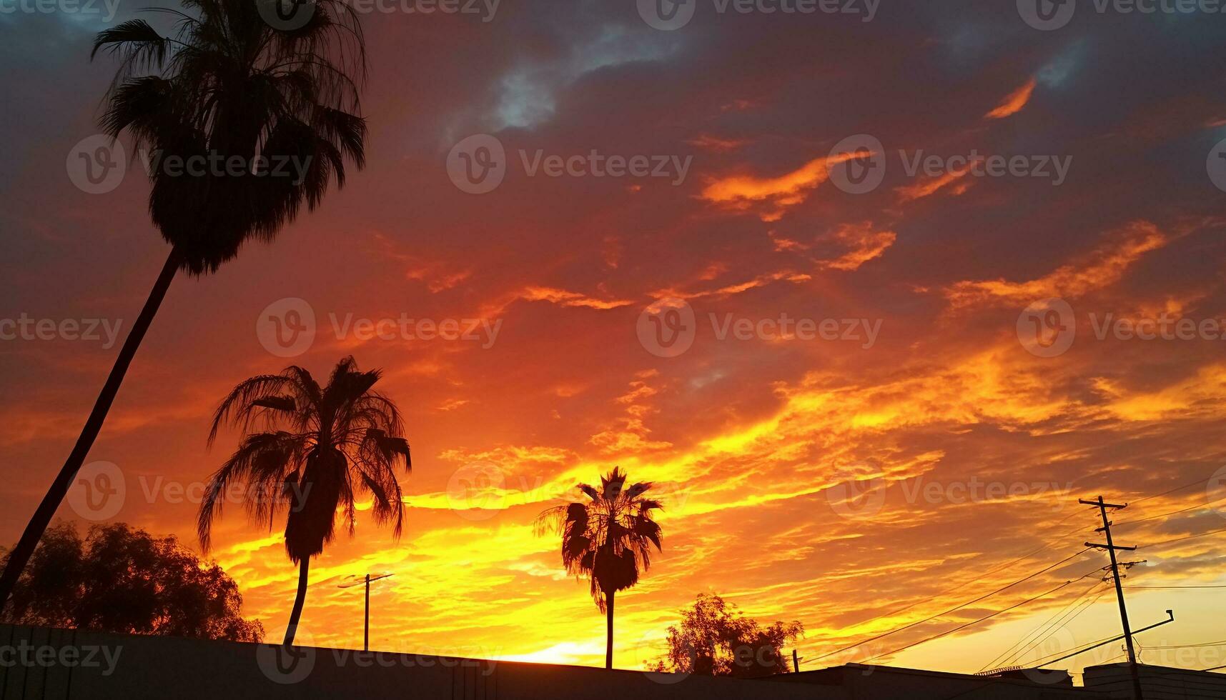 AI generated Romantic sky, sunset silhouette, palm tree beauty generated by AI photo