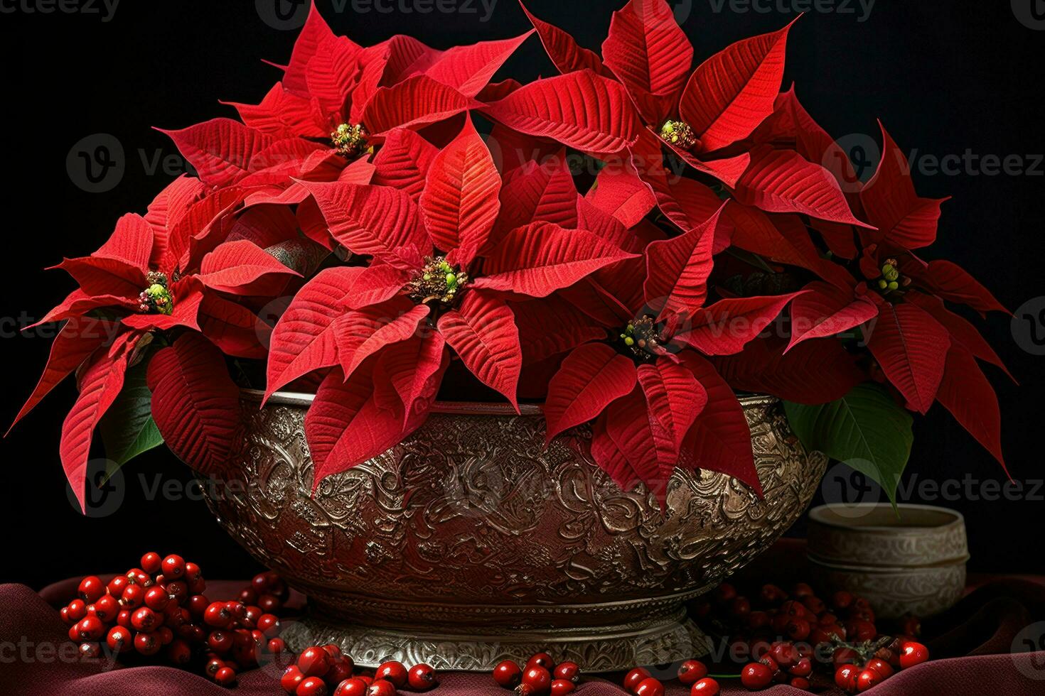AI generated Poinsettias - Generative AI photo