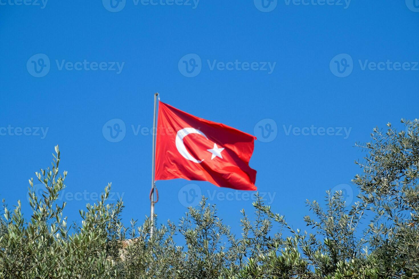 Turkish flag against the blue sky and tops of the trees. photo
