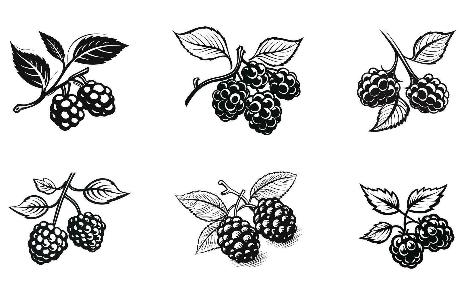 Grape icon.Flat silhouette version, Fresh berries vector silhouette