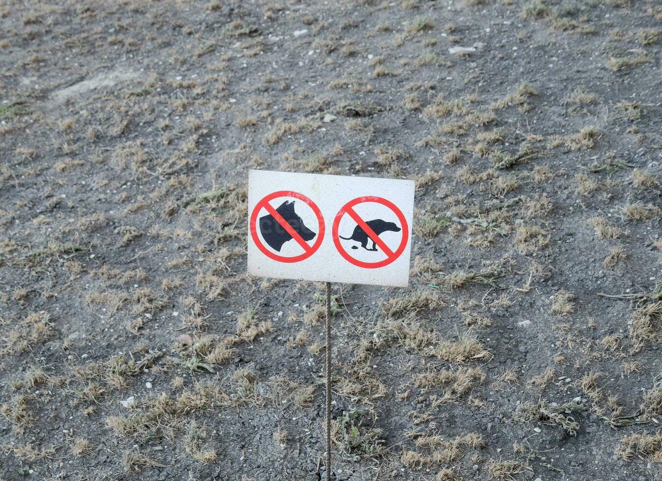 Sign prohibiting the walking of dogs on the lawn photo
