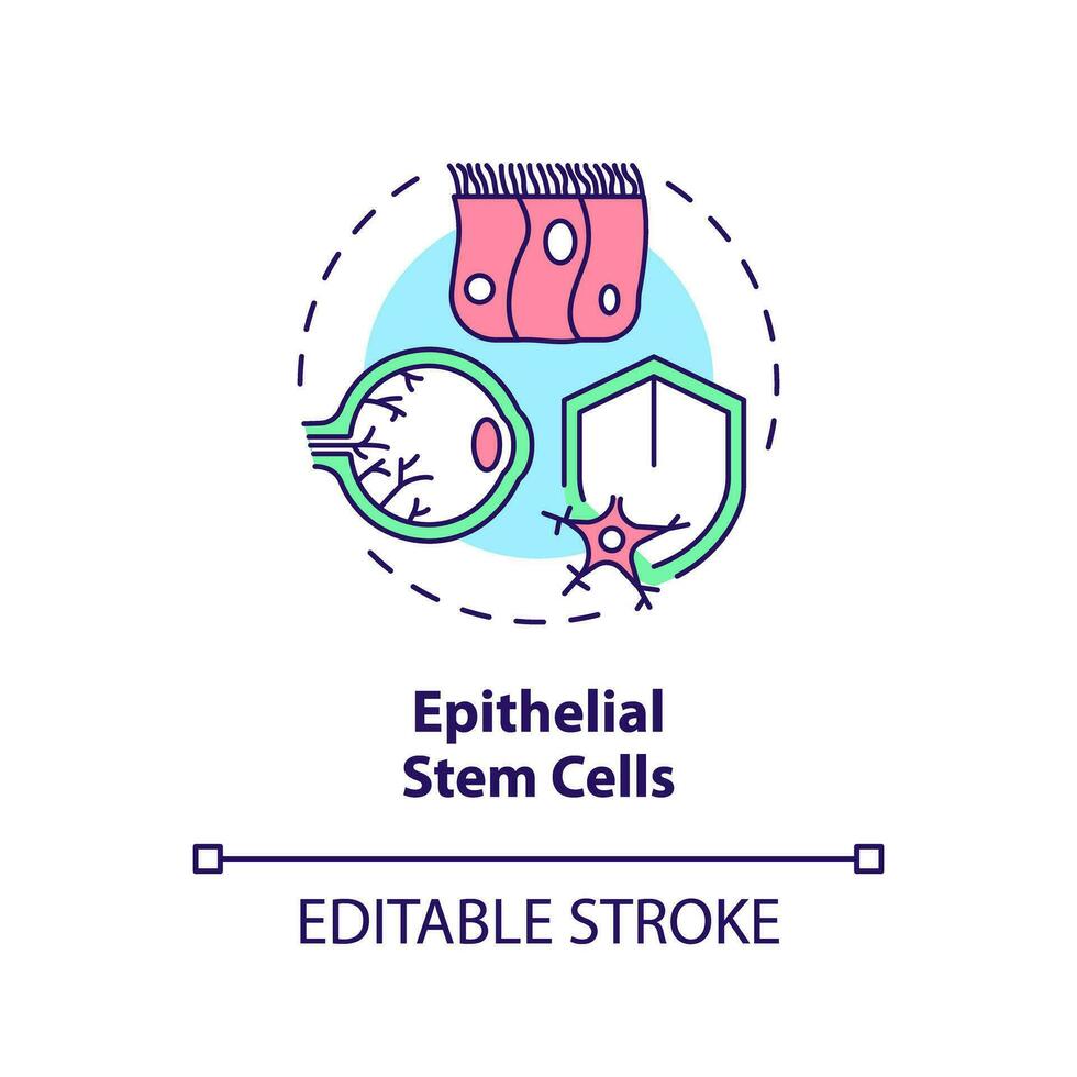 2D editable multicolor epithelial stem cells icon, simple isolated vector, thin line illustration representing cell therapy. vector