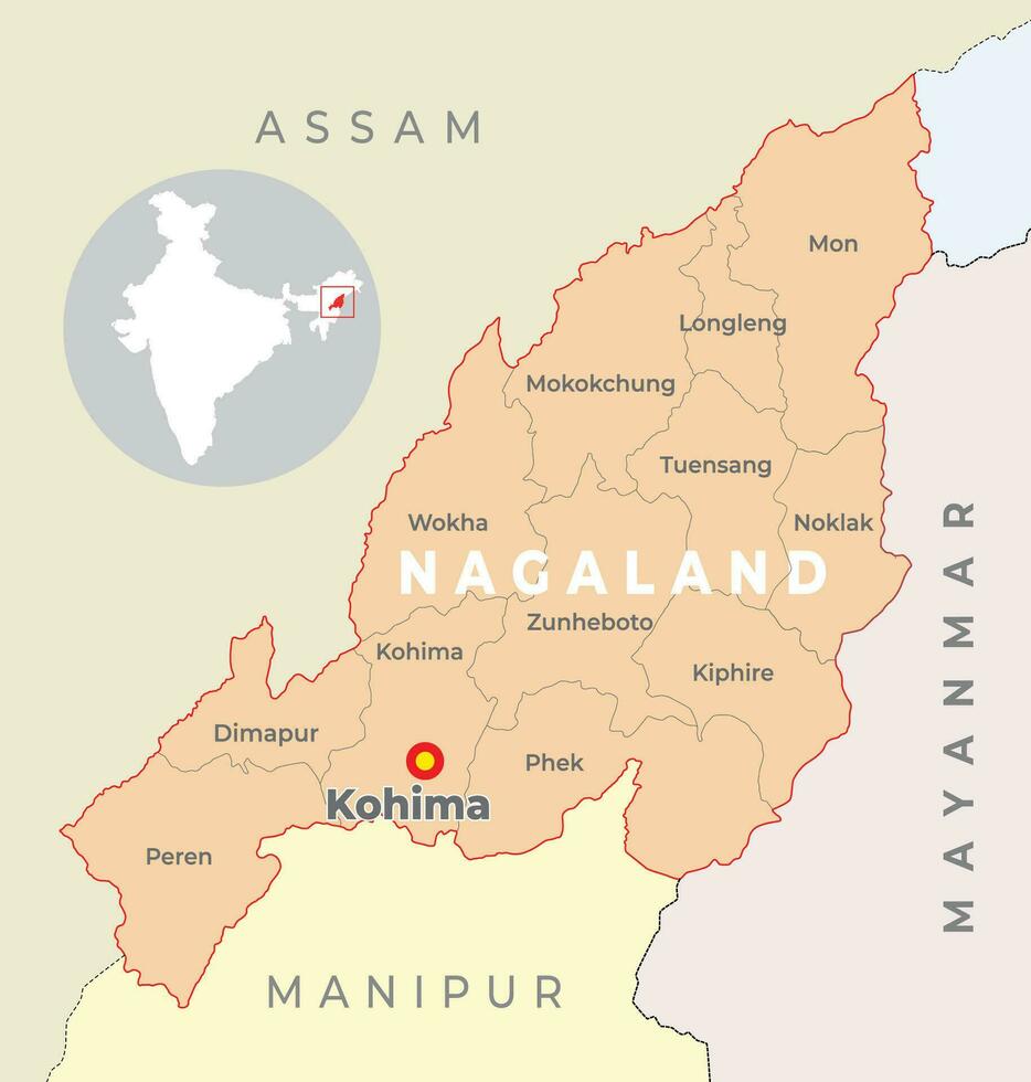 Nagaland District map with neighbour state and country vector