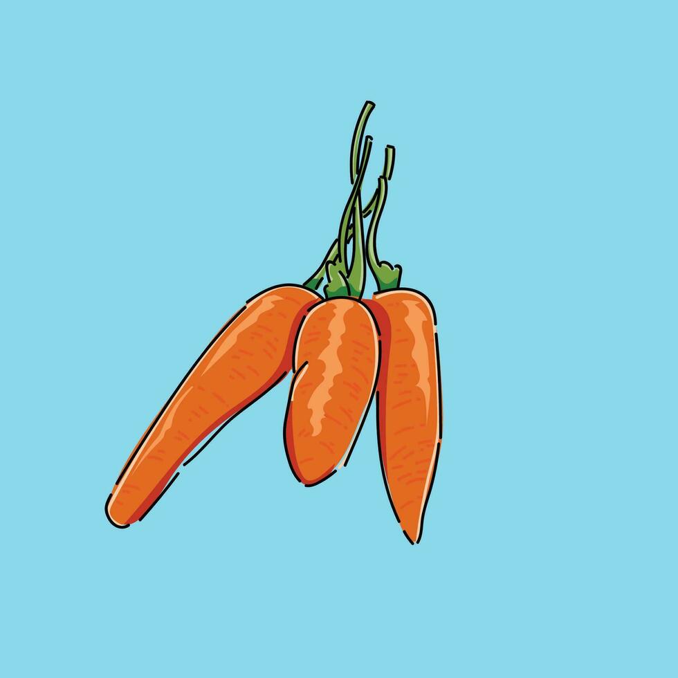 Set of bunch ripe carrots. Hand-drawn illustration vector design isolated on the blue background.