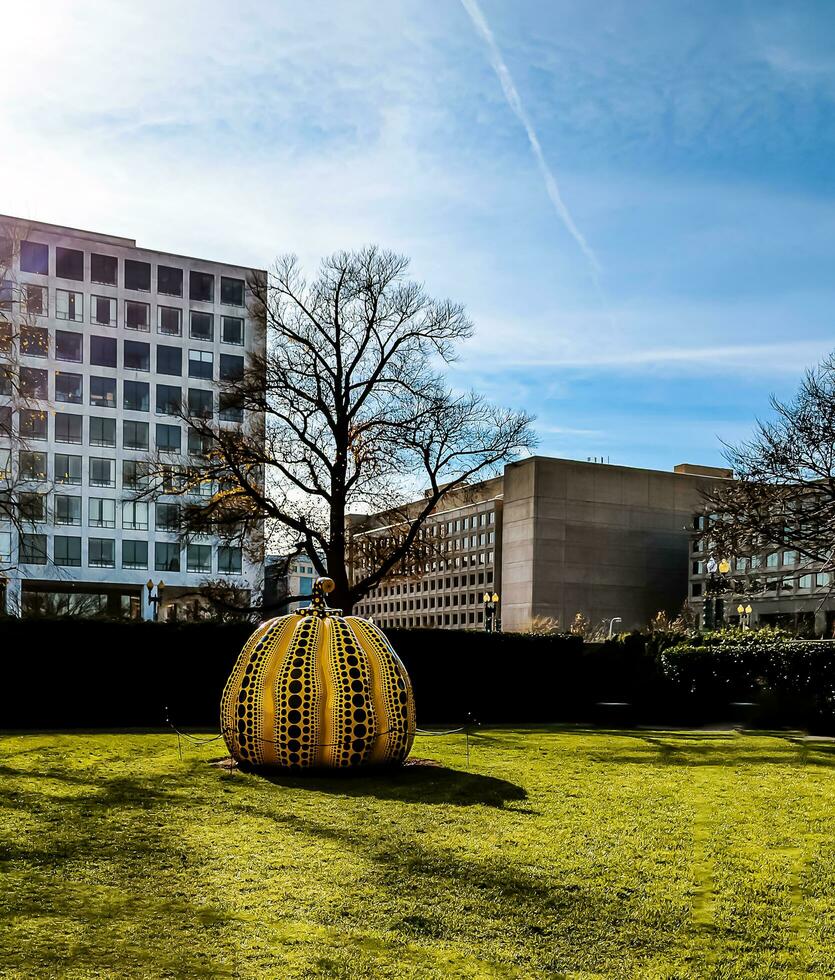 Washington DC, US - 12.16.2023 Close up of iconic yellow pumpkin by artist Yayoi Kusama in the Hirshhorn Museum and Sculpture Garden photo