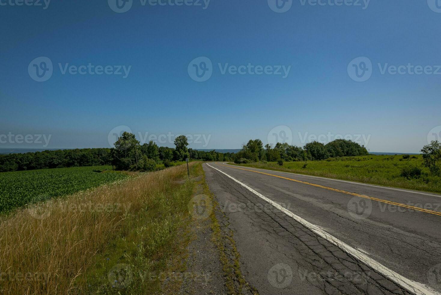New York Corn Road photo