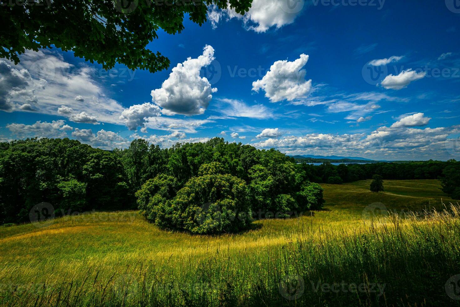 Vanderbilt Mansion National Historic Site photo