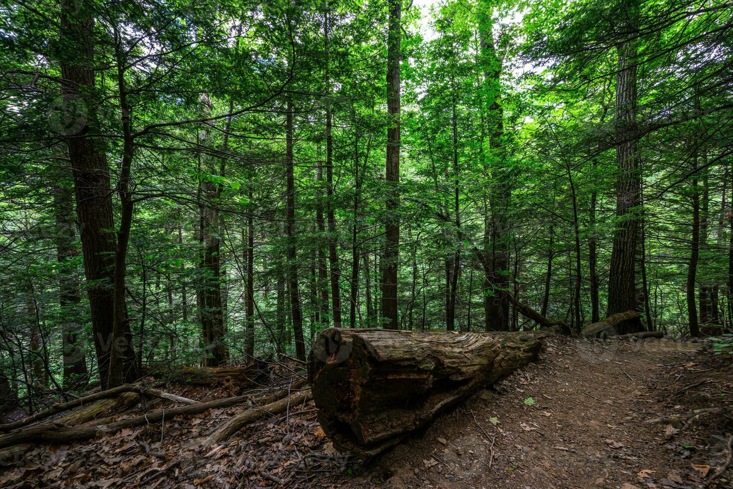 Platte Clove Preserve photo