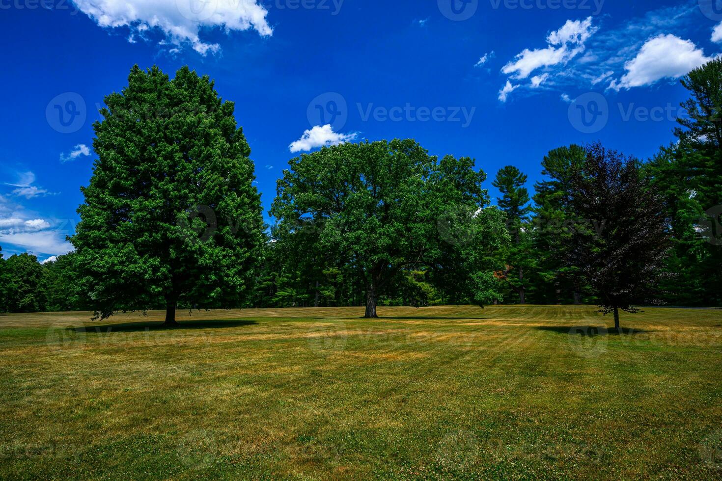 Vanderbilt Mansion National Historic Site photo