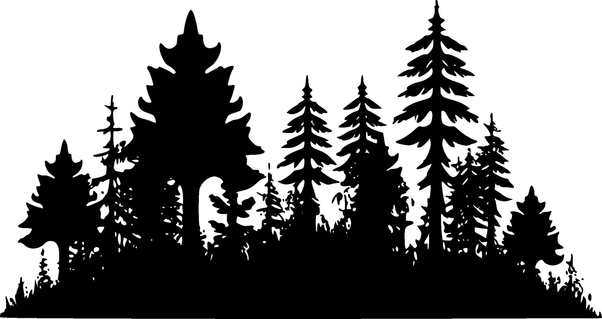 Forest - Black and White Isolated Icon - Vector illustration 36228352