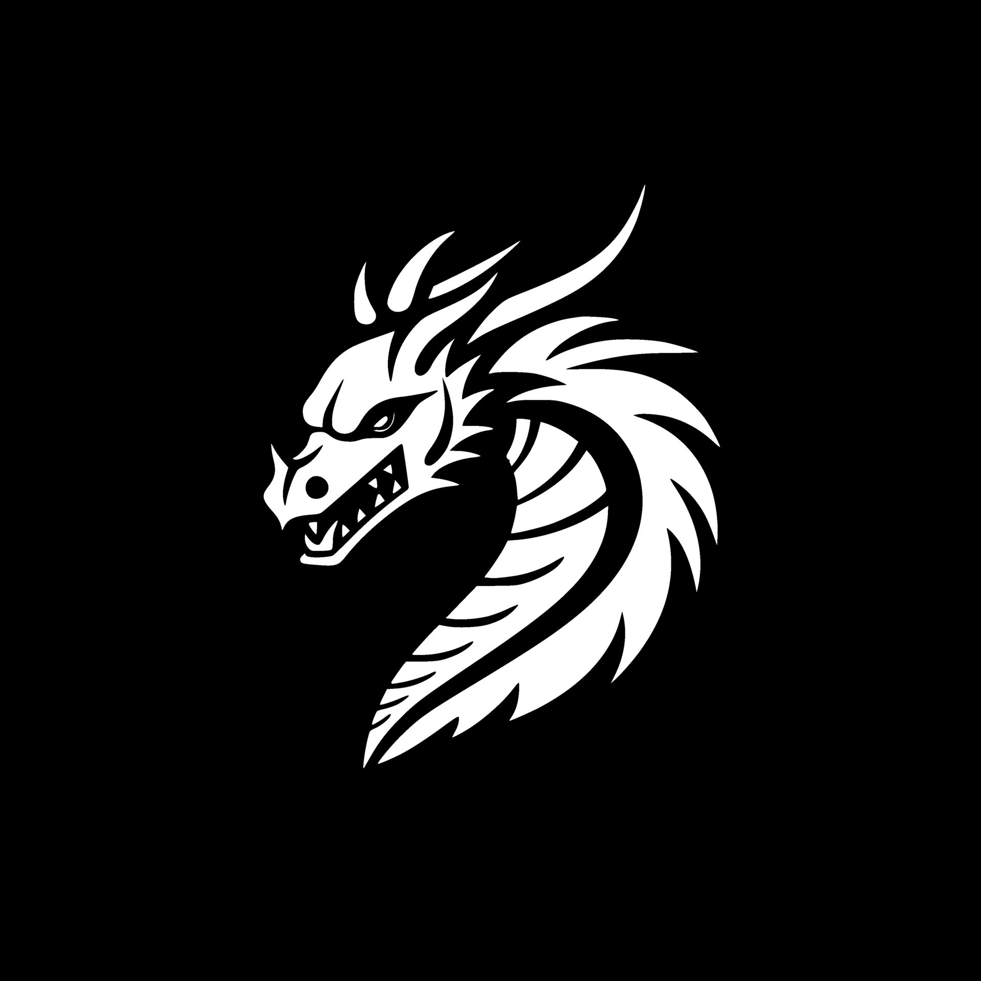 Dragon, Black and White Vector illustration 36228503 Vector Art at Vecteezy