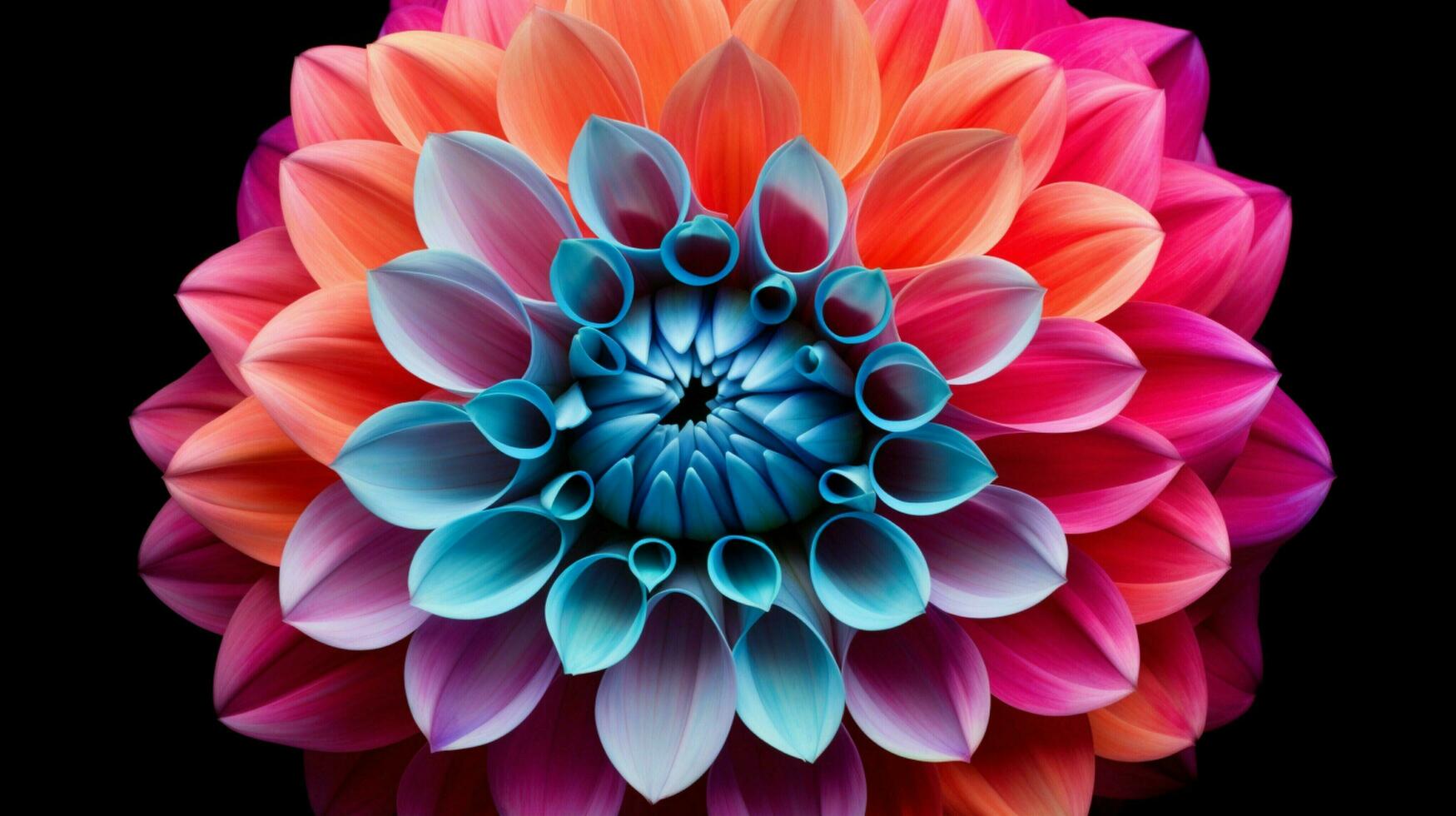 AI generated vibrant petals of a single dahlia bloom in summer beauty photo