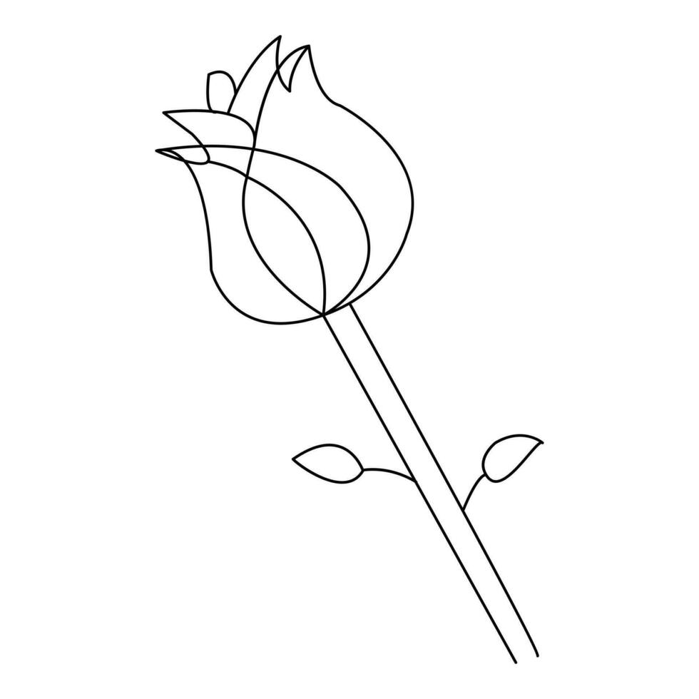 Continous Beautiful rose flowers single line drawing vector art