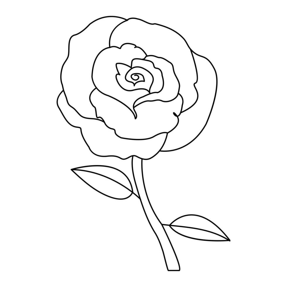 Continous Beautiful rose flowers single line drawing vector art