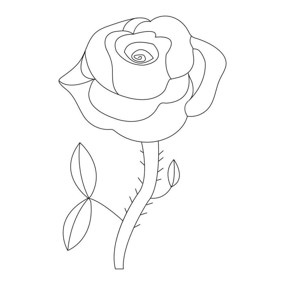 Continous Beautiful rose flowers single line drawing vector art