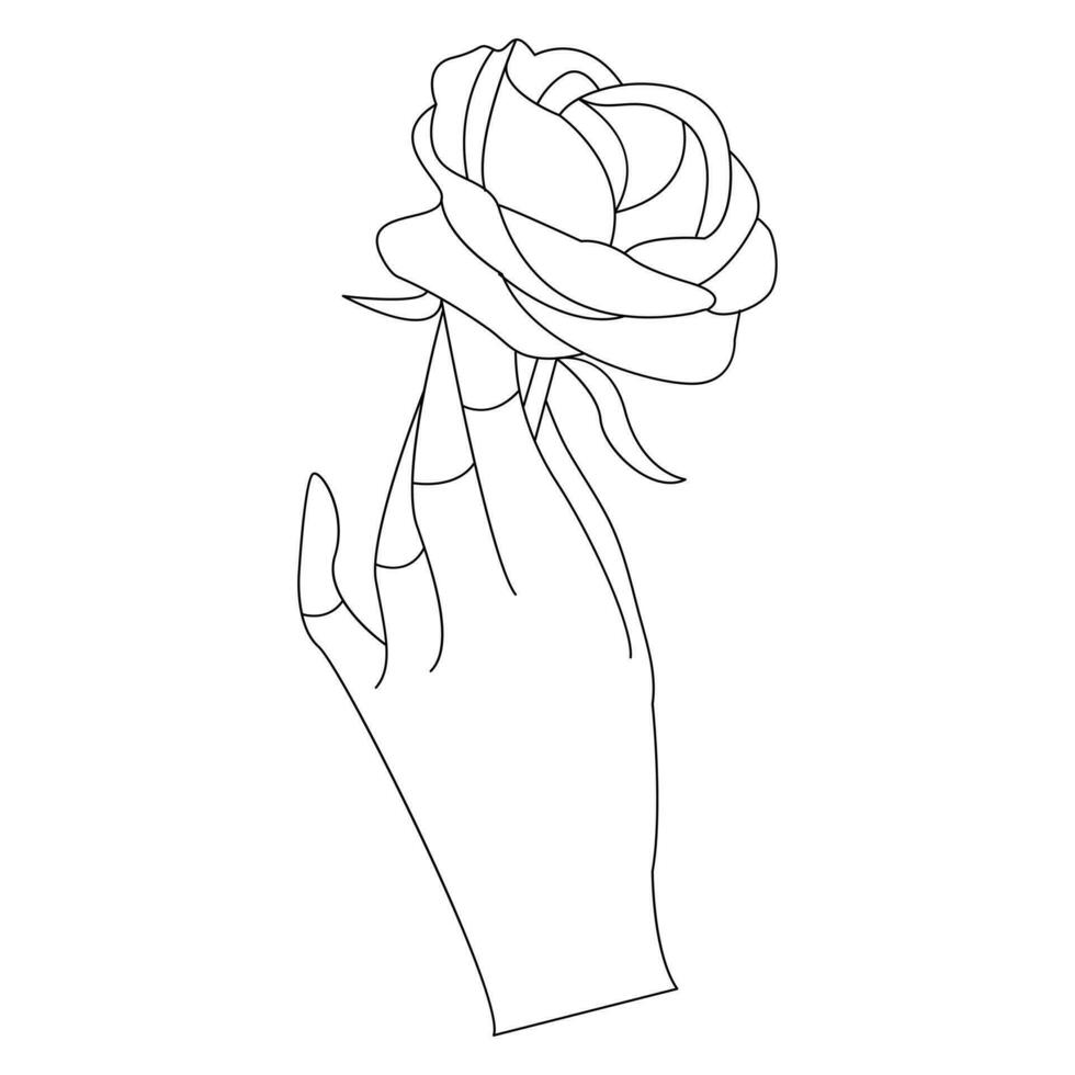 Continuous Beautiful Rose flowers single line art vector drawing of hand holding