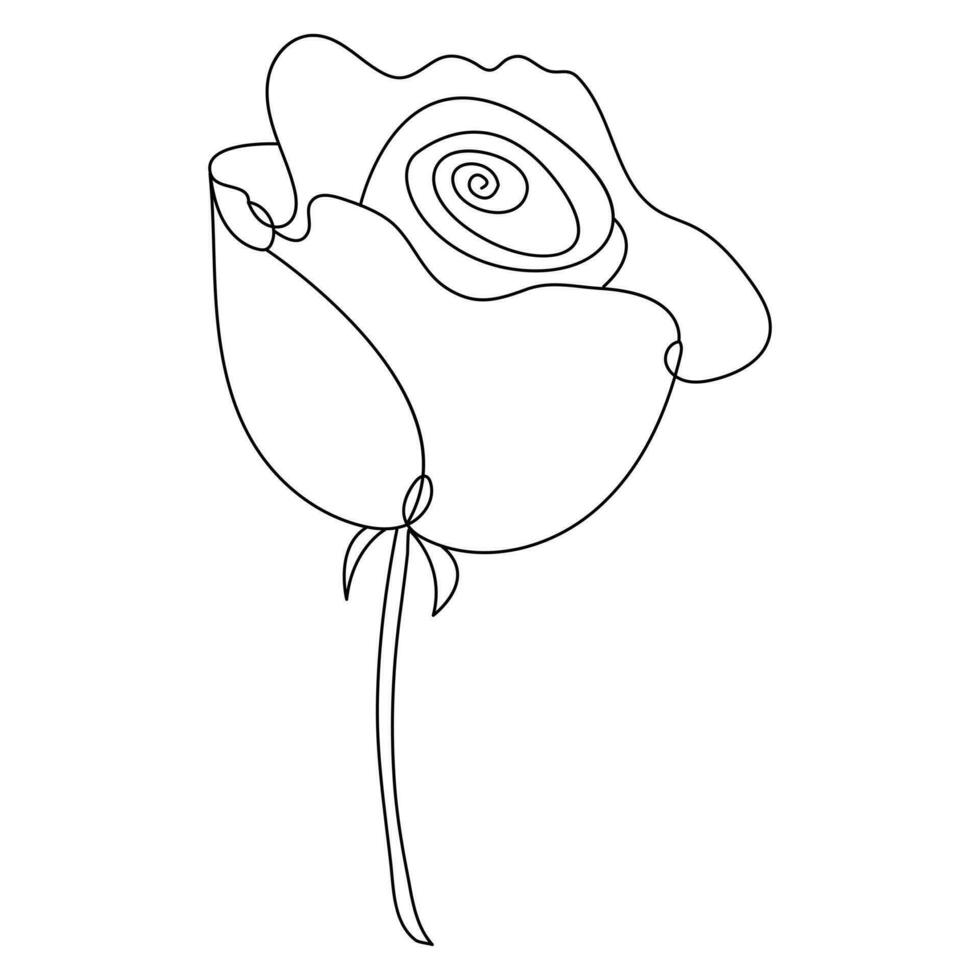 Continous Beautiful rose flowers single line drawing vector art