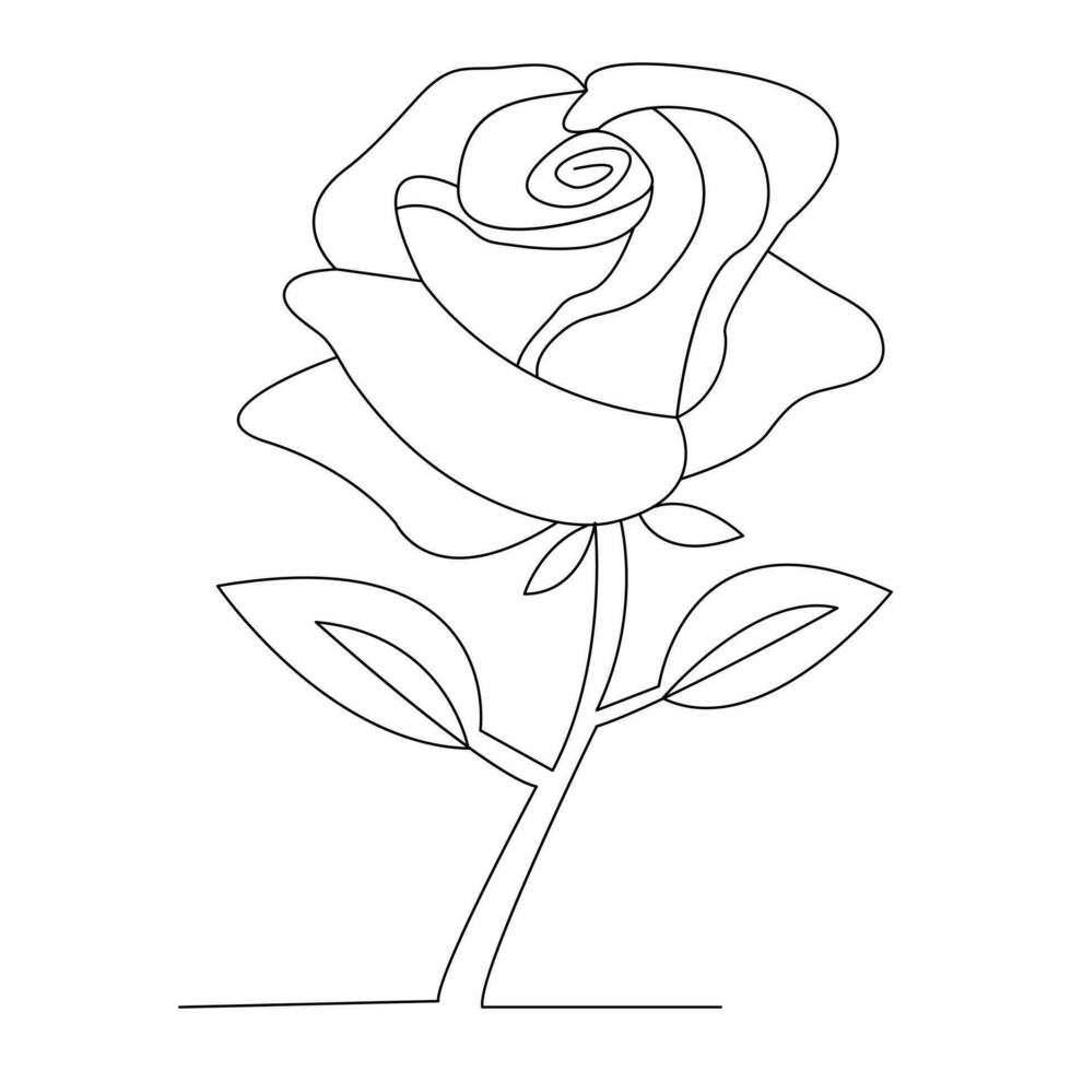 Continous Beautiful rose flowers single line drawing vector art