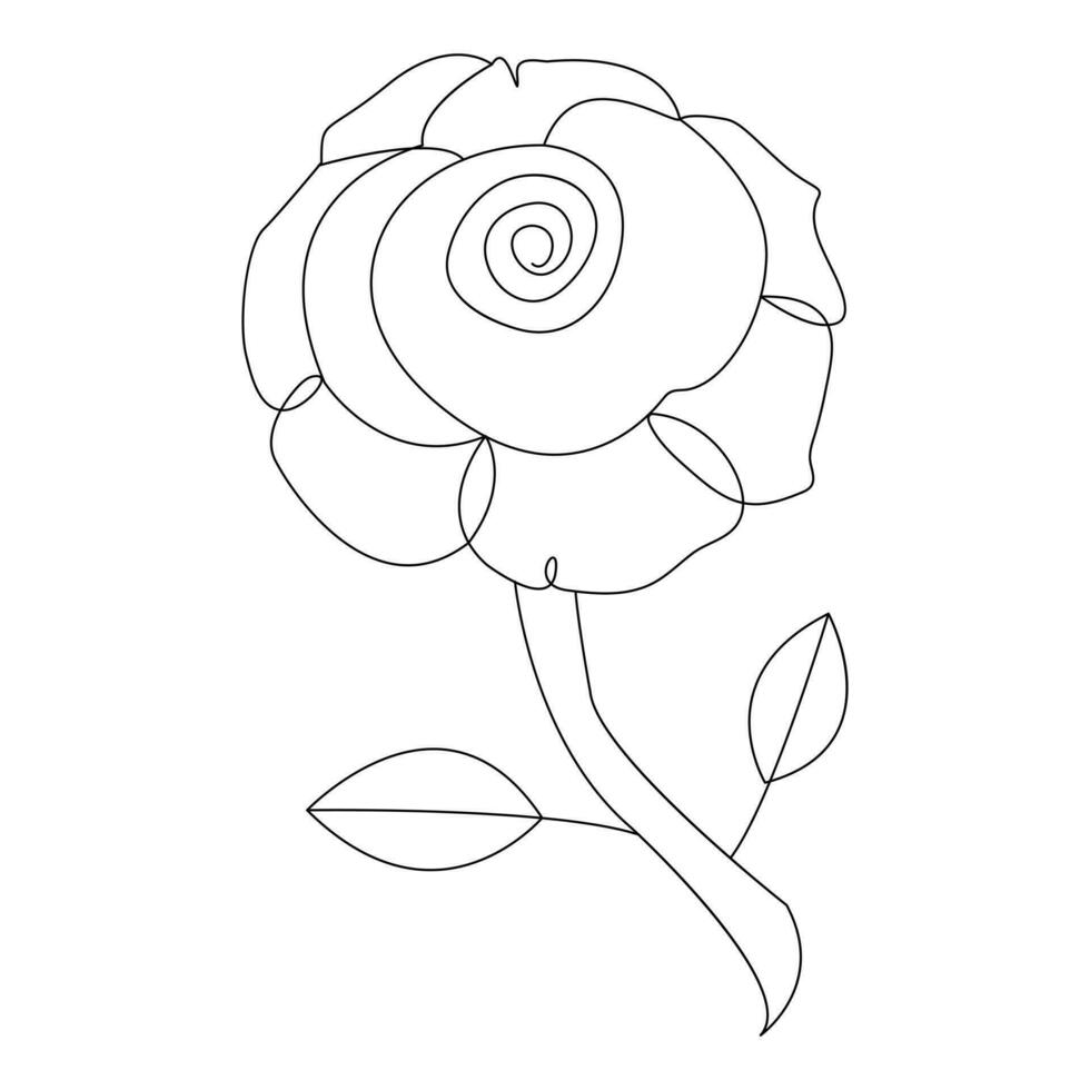 Continous Beautiful rose flowers single line drawing vector art