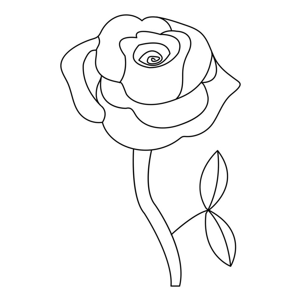 Continous Beautiful rose flowers single line drawing vector art