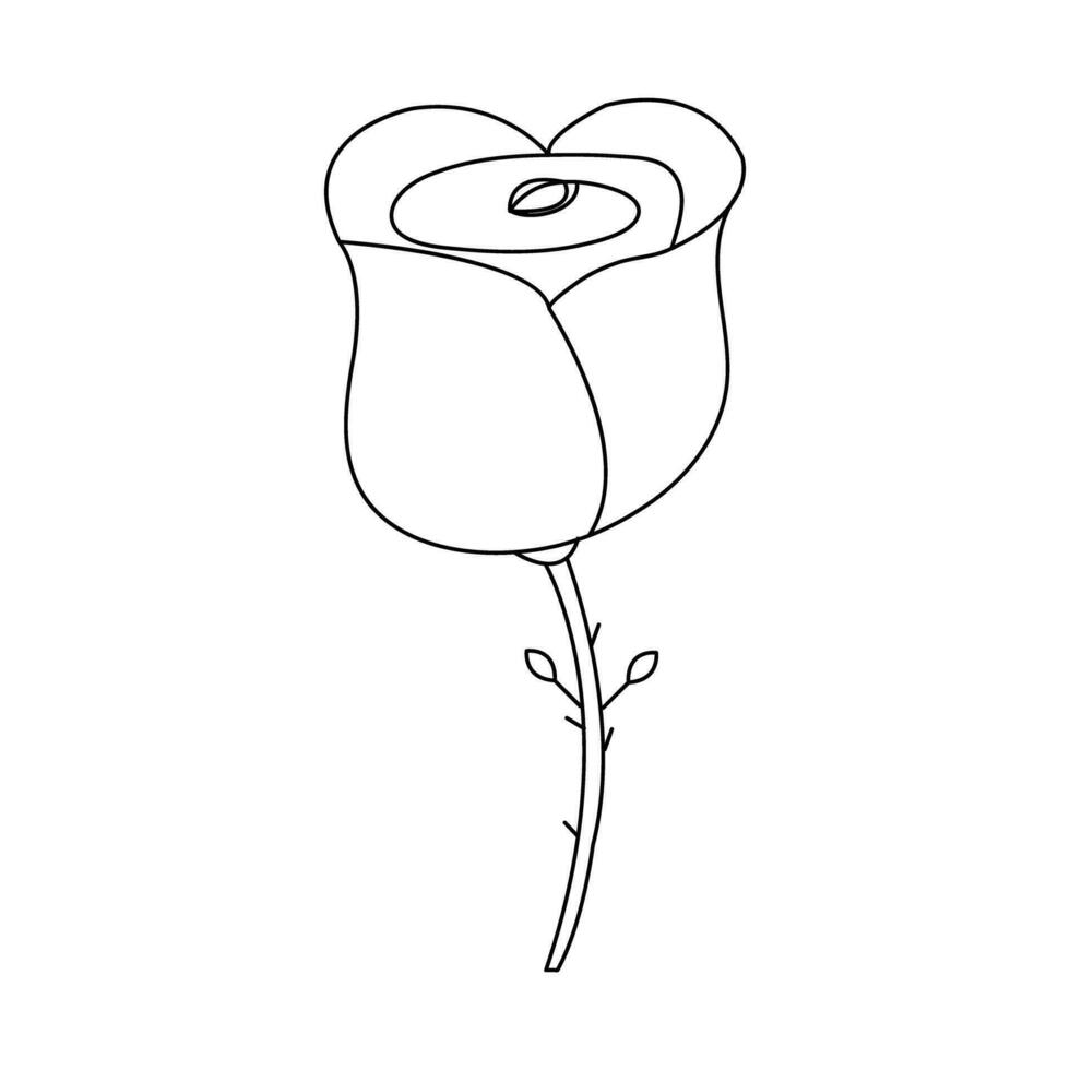 Continous Beautiful rose flowers single line drawing vector art