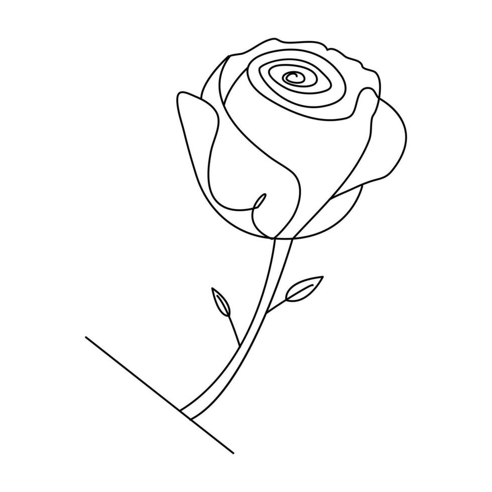 Continous Beautiful rose flowers single line drawing vector art